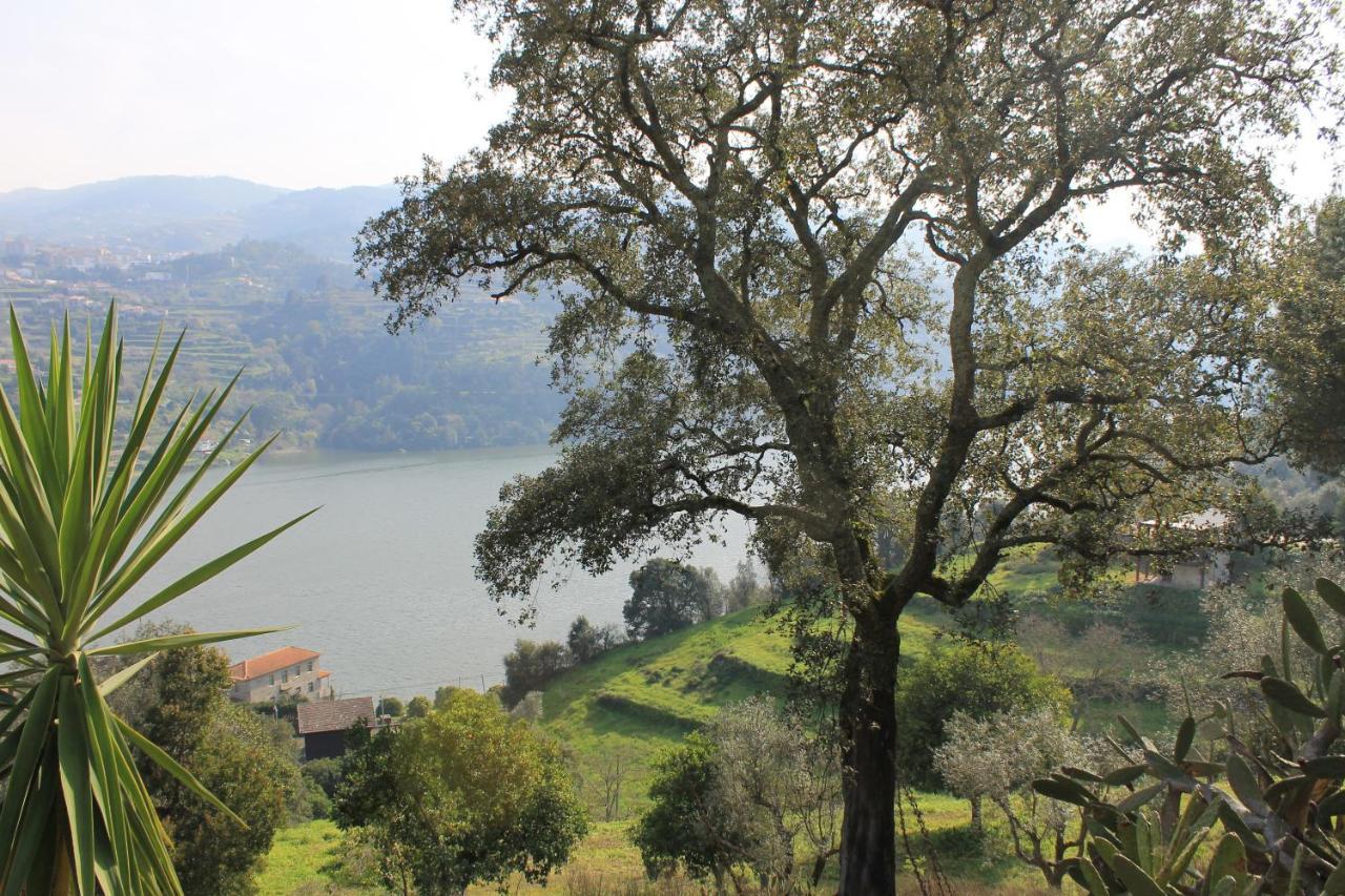 Quinta Das Quintas & Spa Baião Eksteriør billede