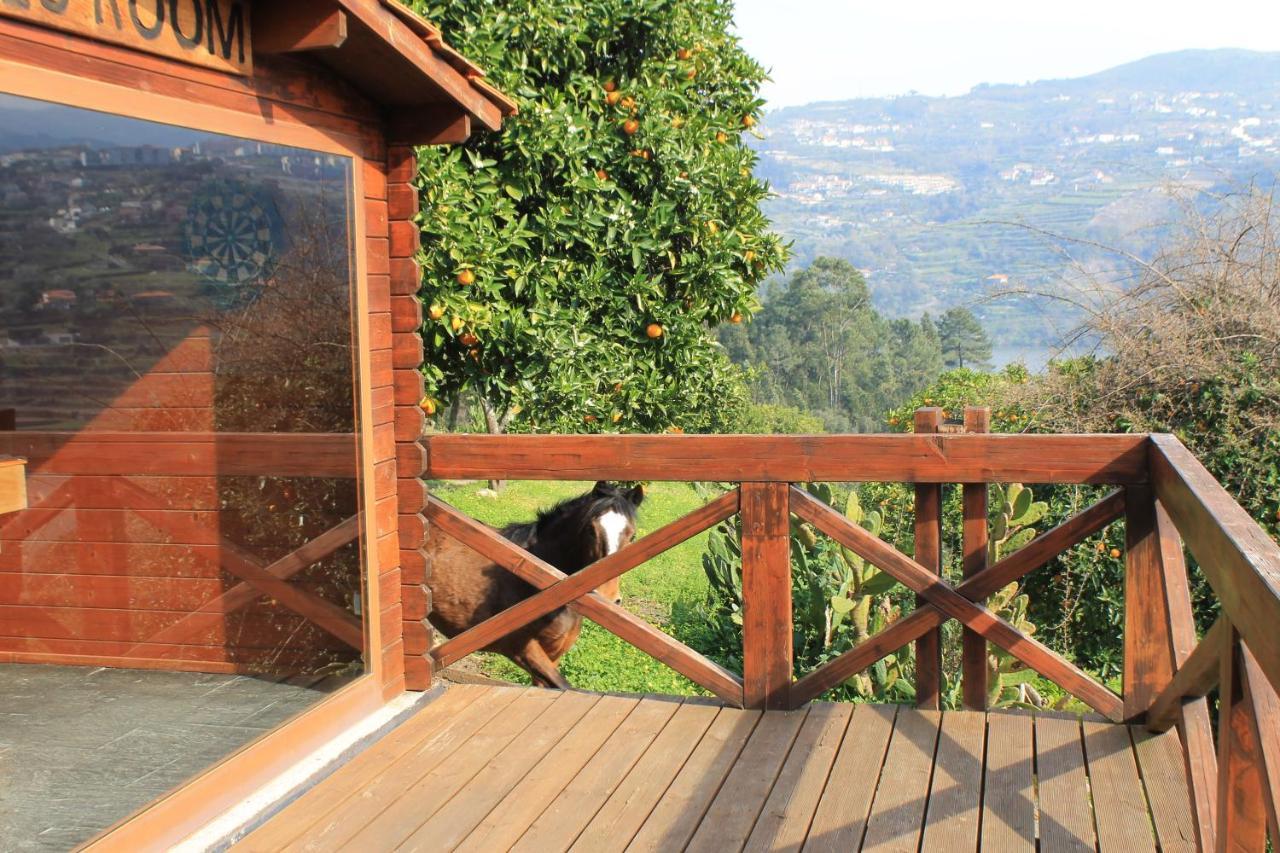 Quinta Das Quintas & Spa Baião Eksteriør billede
