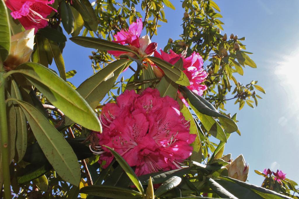 Quinta Das Quintas & Spa Baião Eksteriør billede