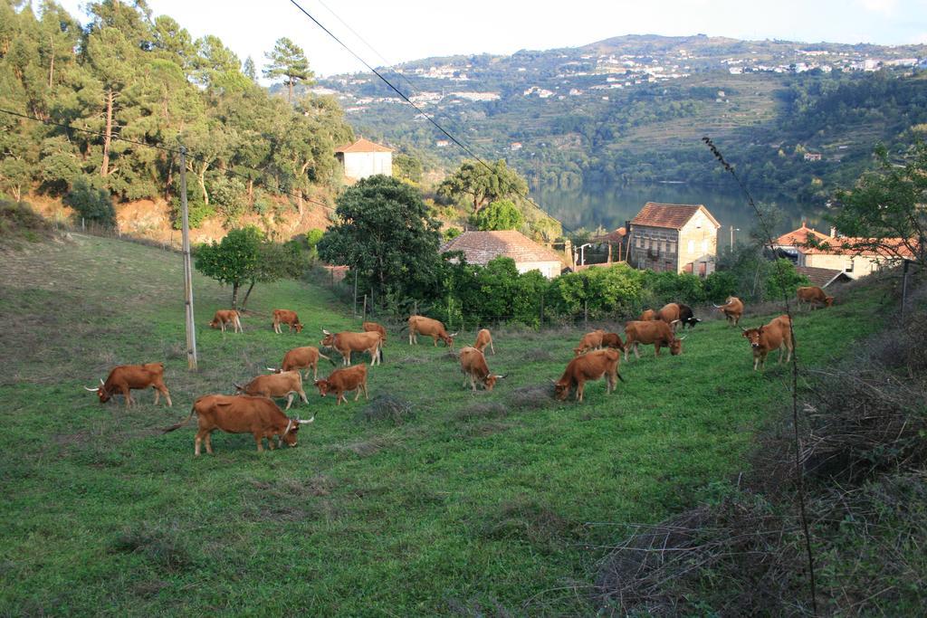 Quinta Das Quintas & Spa Baião Eksteriør billede