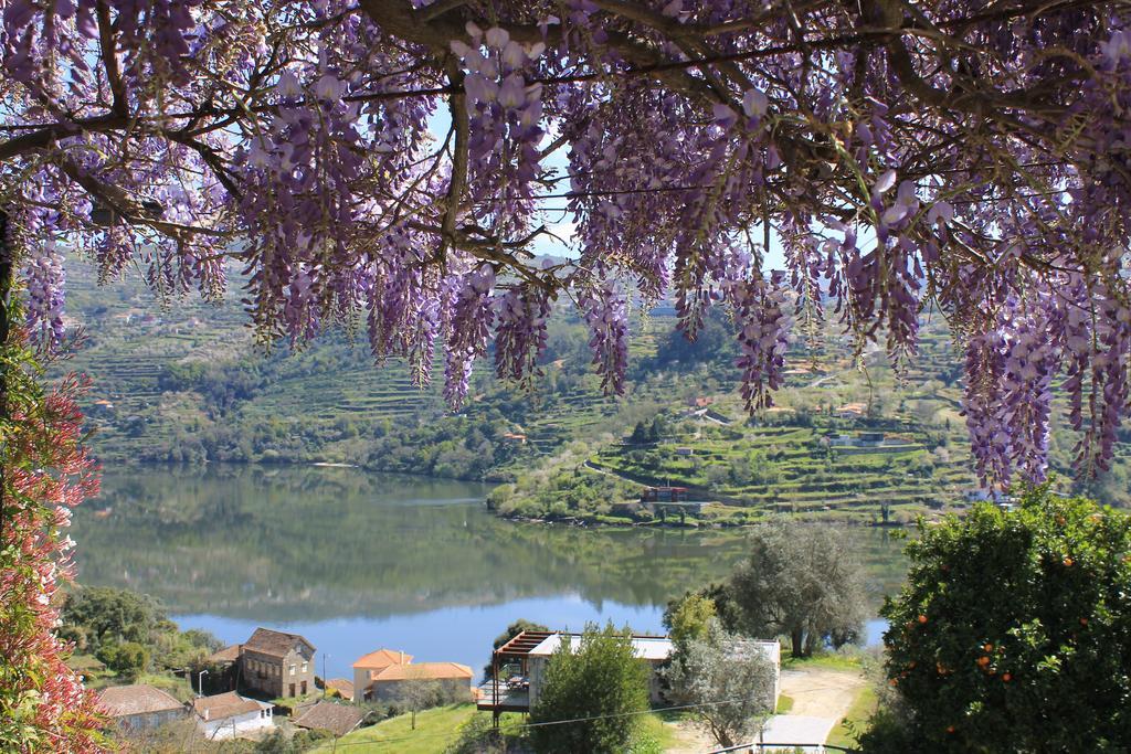 Quinta Das Quintas & Spa Baião Eksteriør billede